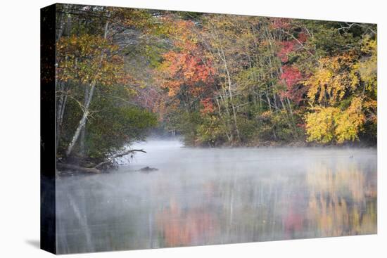 Morning mist and fall colours, River Pemigewasset, New Hampshire, New England, USA, North America-Jean Brooks-Stretched Canvas