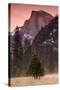 Morning Mist and Half Dome-Vincent James-Stretched Canvas