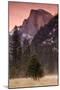 Morning Mist and Half Dome-Vincent James-Mounted Photographic Print