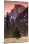 Morning Mist and Half Dome-Vincent James-Mounted Photographic Print