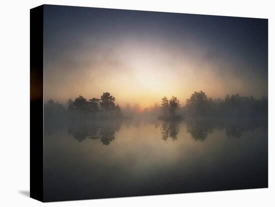 Morning Mist and Sunrise along Wetlands-Hans Strand-Stretched Canvas