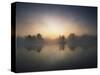 Morning Mist and Sunrise along Wetlands-Hans Strand-Stretched Canvas