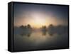 Morning Mist and Sunrise along Wetlands-Hans Strand-Framed Stretched Canvas