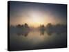 Morning Mist and Sunrise along Wetlands-Hans Strand-Stretched Canvas