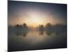 Morning Mist and Sunrise along Wetlands-Hans Strand-Mounted Photographic Print