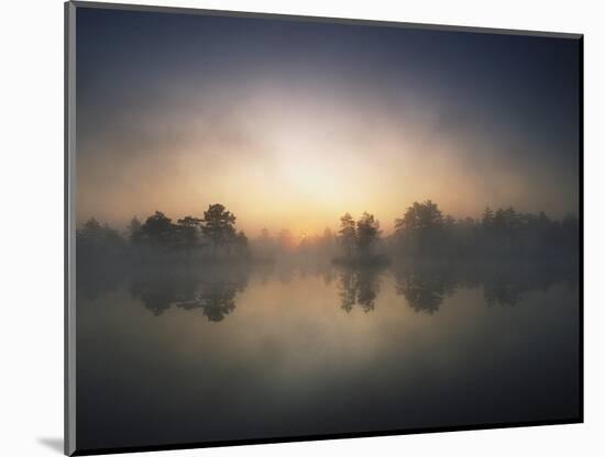 Morning Mist and Sunrise along Wetlands-Hans Strand-Mounted Photographic Print