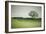 Morning Mist and Tree, Petaluma, Sonoma County, California-Vincent James-Framed Premium Photographic Print