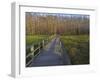 Morning mist at the Corkscrew Swamp Sanctuary boardwalk, Florida-Maresa Pryor-Framed Photographic Print