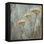 Morning Mist II-Carol Black-Framed Stretched Canvas