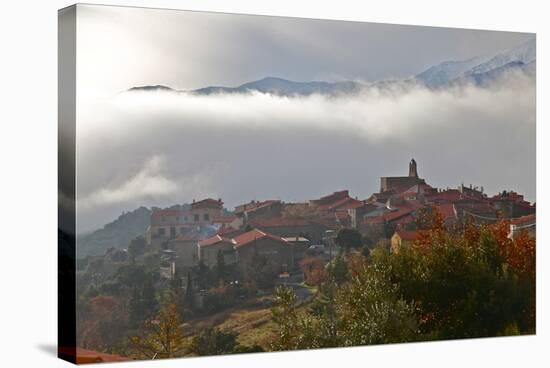 Morning Mist in Arboussols-David Lomax-Stretched Canvas