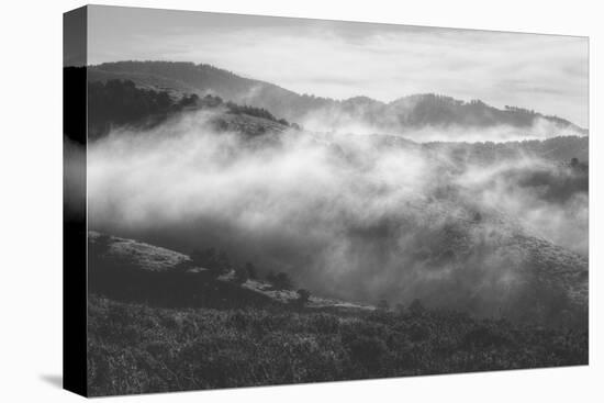 Morning Mist in the Hills of Point Reyes, California-Vincent James-Stretched Canvas