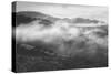 Morning Mist in the Hills of Point Reyes, California-Vincent James-Stretched Canvas