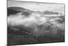 Morning Mist in the Hills of Point Reyes, California-Vincent James-Mounted Photographic Print