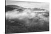 Morning Mist in the Hills of Point Reyes, California-Vincent James-Stretched Canvas