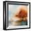 Morning Mist & Maple I-J^P^ Prior-Framed Giclee Print