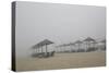 Morning Mist on Jumeirahgc-Valda Bailey-Stretched Canvas
