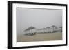 Morning Mist on Jumeirahgc-Valda Bailey-Framed Photographic Print