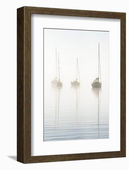 Morning mist on Windermere, Cumbria, UK-Nadia Isakova-Framed Photographic Print