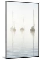 Morning mist on Windermere, Cumbria, UK-Nadia Isakova-Mounted Photographic Print