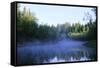 Morning Mist over River Negustyah-Andrey Zvoznikov-Framed Stretched Canvas