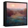 Morning Mist Richmond Park, 2021, (oil on canvas)-Lee Campbell-Framed Stretched Canvas