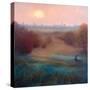 Morning Mist Richmond Park, 2021, (oil on canvas)-Lee Campbell-Stretched Canvas