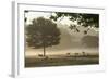 Morning Mist, Sheep Feeding, Eden Valley, Cumbria, England, United Kingdom, Europe-James Emmerson-Framed Photographic Print