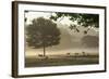 Morning Mist, Sheep Feeding, Eden Valley, Cumbria, England, United Kingdom, Europe-James Emmerson-Framed Photographic Print