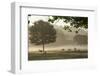 Morning Mist, Sheep Feeding, Eden Valley, Cumbria, England, United Kingdom, Europe-James Emmerson-Framed Photographic Print