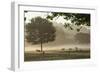 Morning Mist, Sheep Feeding, Eden Valley, Cumbria, England, United Kingdom, Europe-James Emmerson-Framed Photographic Print