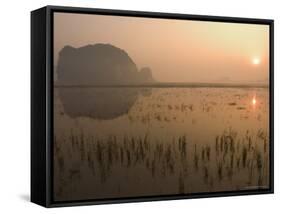 Morning Mist, Sunrise, Limestone Mountain Scenery, Tam Coc, Ninh Binh, North Vietnam-Christian Kober-Framed Stretched Canvas