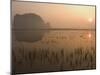 Morning Mist, Sunrise, Limestone Mountain Scenery, Tam Coc, Ninh Binh, North Vietnam-Christian Kober-Mounted Photographic Print