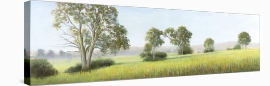 Morning Mist Sunrise-Elissa Gore-Stretched Canvas