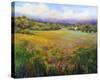 Morning Mist-Jan E^ Moffatt-Stretched Canvas