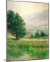 Morning Mist-Frank Janca-Mounted Giclee Print