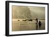 Morning Mist-Angela Muliani-Framed Photographic Print