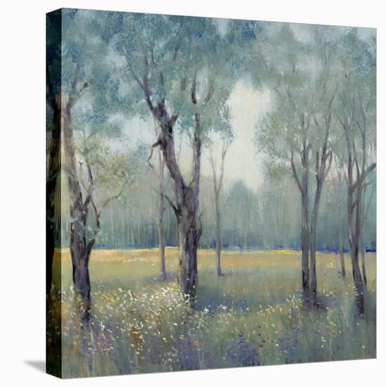 Morning Mist-Tim OToole-Stretched Canvas