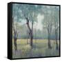 Morning Mist-Tim OToole-Framed Stretched Canvas