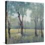 Morning Mist-Tim OToole-Stretched Canvas