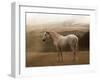 Morning Mist-Sally Linden-Framed Photographic Print