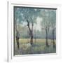 Morning Mist-Tim OToole-Framed Art Print