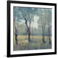 Morning Mist-Tim OToole-Framed Art Print