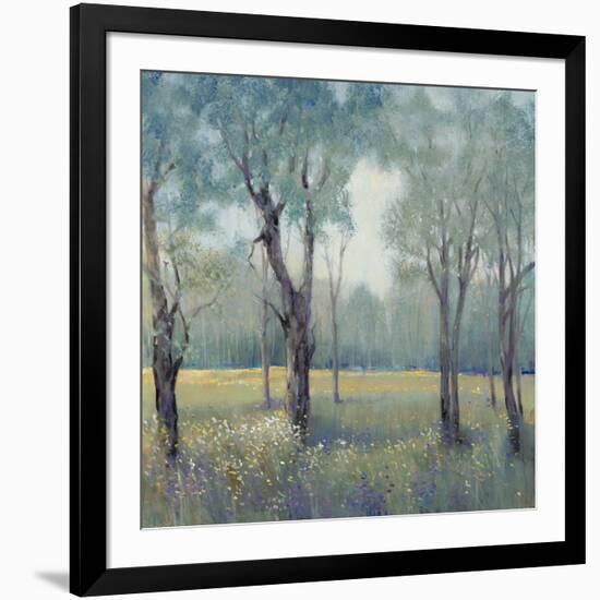 Morning Mist-Tim OToole-Framed Art Print