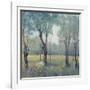 Morning Mist-Tim OToole-Framed Art Print