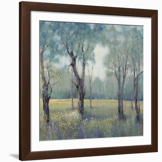 Morning Mist-Tim OToole-Framed Art Print