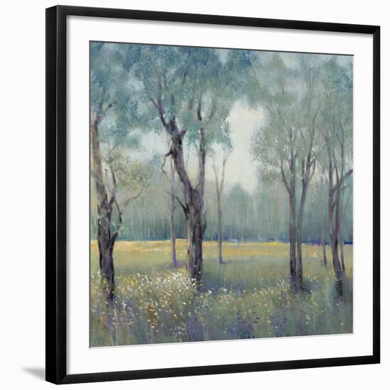 Morning Mist-Tim OToole-Framed Art Print