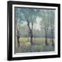 Morning Mist-Tim OToole-Framed Art Print