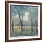 Morning Mist-Tim OToole-Framed Art Print