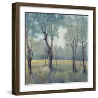 Morning Mist-Tim OToole-Framed Art Print