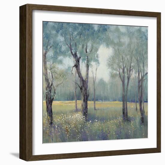 Morning Mist-Tim OToole-Framed Art Print